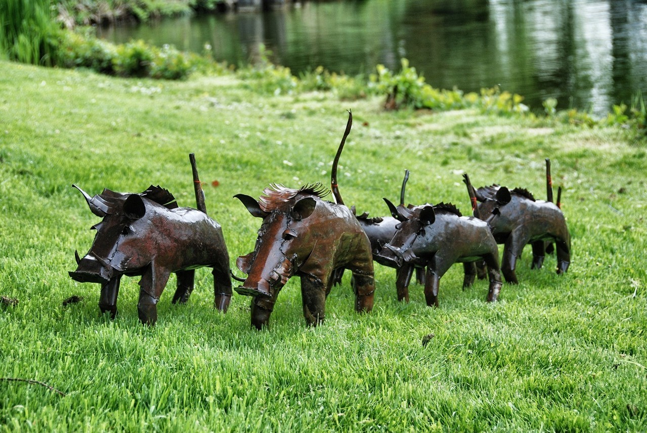 warthogs in Europe warthogs in Europe - Photo by Shona Art