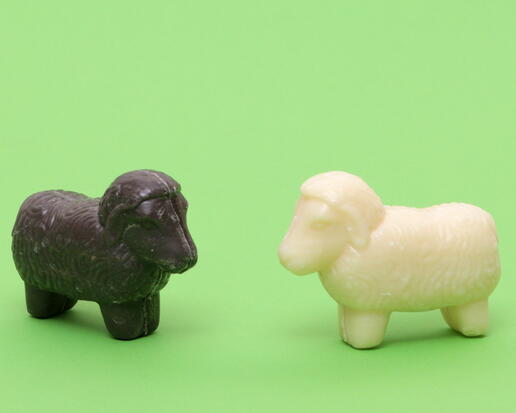 black or white sheep from sheep milk