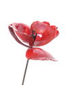 Upcycling Rote Mohnblume von Shona Art